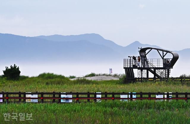 다대포해수욕장 바로 옆 습지에는 고우니생태길이 조성돼 있다.