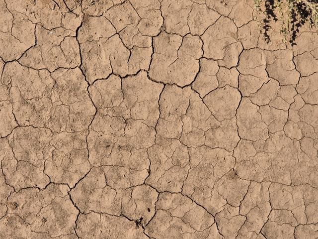 지난달 27일 몽골 투브 아이막(道) 바양항가이 솜(郡)에 위치한 '상생의 숲'을 찾았을 때 숲이 조성되지 않은 주변 땅의 모습. 나무를 심은 곳은 물을 가장 효율적으로 활용하기 위해 점적관수 시스템을 활용 중이었다. 바양항가이=최나실 기자