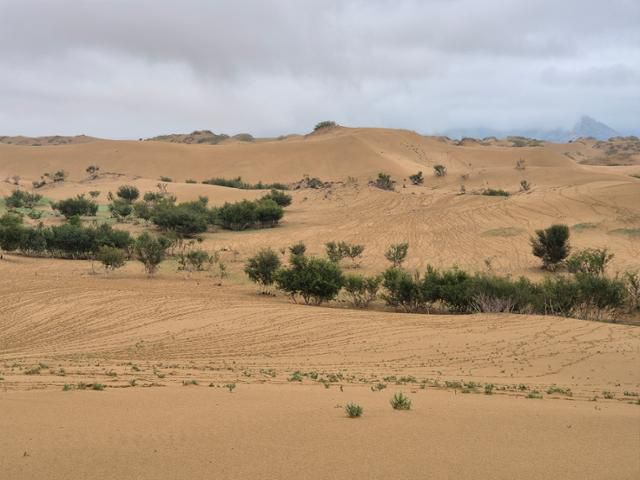 몽골 사막화 지역인 엘승 타사르해 전경. 아시아 최대 사막인 고비 사막에 비하면 어느 정도 초목이 자라고는 있지만, 현지 주민의 말에 따르면 지난 수십 년간 식생이 점점 줄어드는 상황이다. 최나실 기자