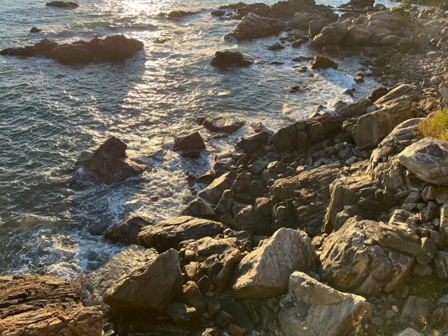 강원 양양군 낙산사에서 보이는 바닷가의 모습. 낙산사 템플스테이에서는 이런 풍경을 보고 들으며 '파도 명상'을 한다. 전혼잎 기자