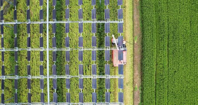 영농형 태양광 발전소를 드론으로 촬영한 모습. 한화큐셀은 영농형 태양광 전용 모듈을 판매 중이다. 한화큐셀 제공