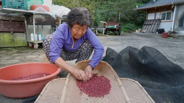 '씨앗의 시간'은 수십 년 동안 토종 작물을 가꾸는 이들에게 초점을 맞춘 다큐멘터리다. 토란웍스 제공