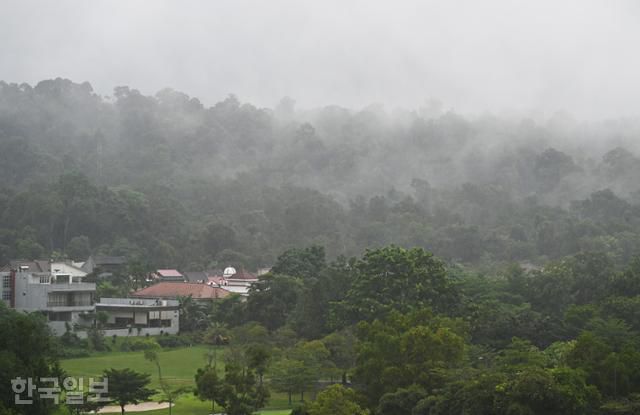 바탐섬 고급 주택가 정글에 안개가 어슬렁거리고 있다.