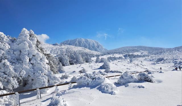 지난 11월30일 한라산이 설국으로 변해 탐방객들에게 눈꽃, 서리꽃의 장관을 선사하고 있다. 뉴시스