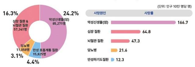 2023년 만성질환으로 인한 사망률. 질병관리청 제공