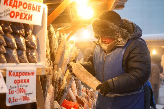 지구상에서 가장 추운 도시로 꼽히는 러시아 야크츠쿠의 기온이 영하 45도까지 떨어진 29일 한 상인이 생선 가판대에서 꽁꽁 언 생선을 살펴보고 있다. 야크츠쿠=타스 연합뉴스