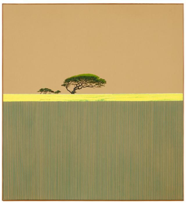 박광진의 '자연의 소리' 시리즈-'김녕고목(2002)'. 서울시립미술관 제공