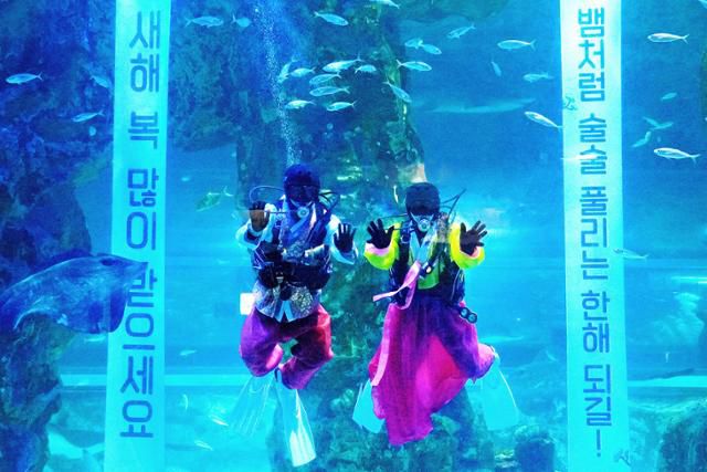 롯데월드 아쿠아리움 수조에서 아쿠아리스트들이 새해 인사를 건네고 있다. 롯데월드 제공