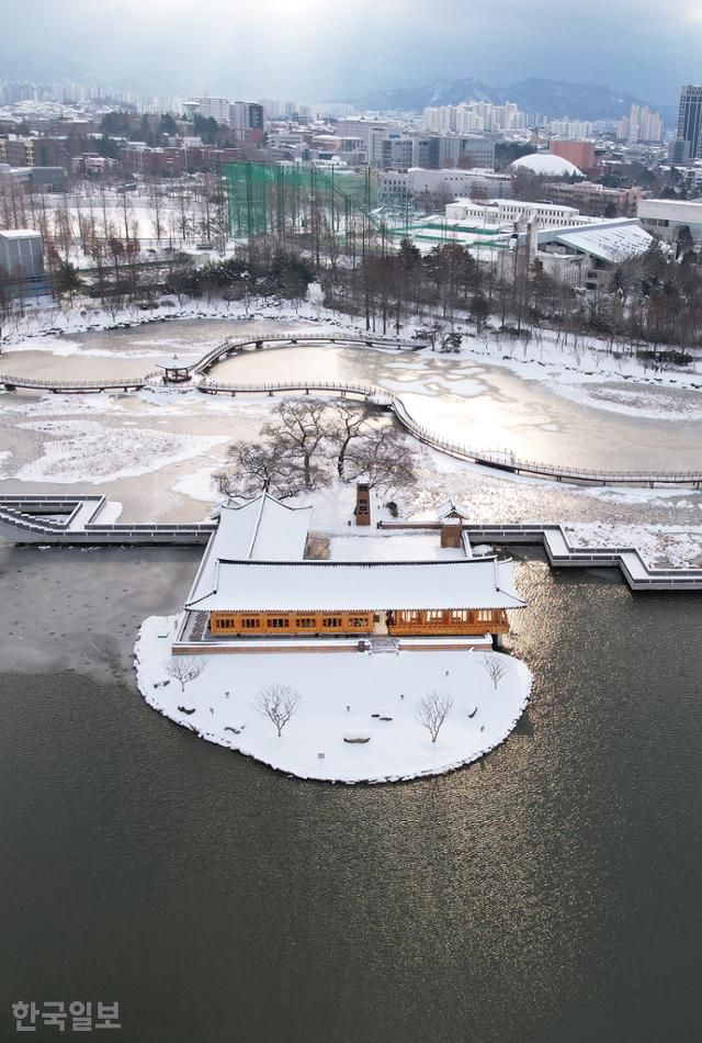 덕진공원 연못 한가운데에 한옥으로 지은 연화정도서관. 탐방로 주변은 연꽃 군락이다.