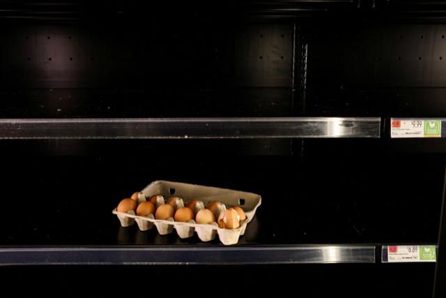 12일 미국 뉴욕의 한 매장의 텅 빈 계란 코너 선반 위에 계란이 놓여 있다. 미국에서 조류 인플루엔자(AI) 확산으로 달걀 공급량이 줄어 계란 가격이 폭등해 일부 지역에서는 달걀 절도 범죄가 발생하고 일부 매장에서는 1인당 계란 판매 제한 조치를 시행하는 등 계란 품귀 현상까지 벌어지고 있다. 뉴욕=로이터 연합뉴스