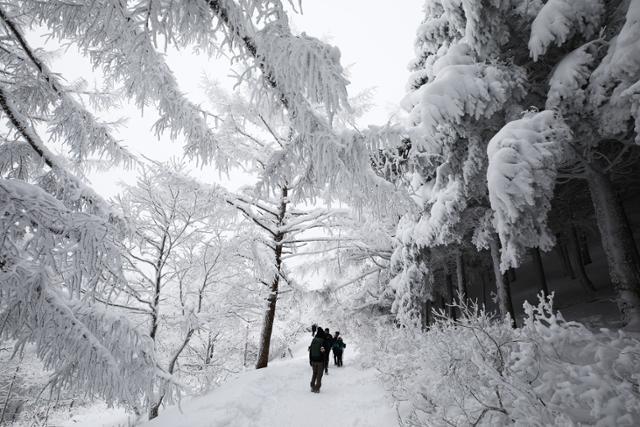 정상에 가까워질수록 점점 환상적인 설경이 펼쳐진다. ⓒ박준규