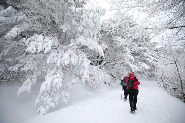 어디라 할 것 없이 멋진 작품사진을 찍을 수 있다. ⓒ박준규