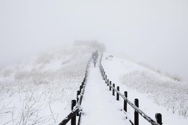 바래봉 정상 부근 능선. 날이 좋으면 지리산 전체 능선이 조망되는데, 그날은 안개가 짙게 끼었다. ⓒ박준규