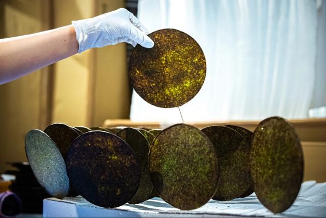 '위플러스'는 폐기 재료에 대한 새로운 가치를 모색하는 일본의 디자인 회사다. 먹지 못하고 버려지는 김을 활용해 설치 미술 작품을 만드는 모습. 위플러스 홈페이지