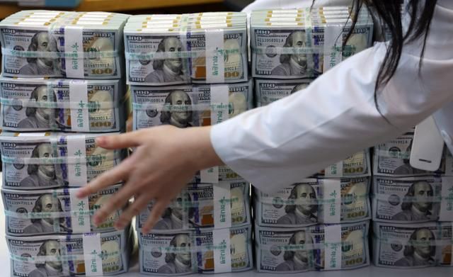 6일 서울 중구 명동 하나은행 위변조대응센터에서 직원이 미국 달러화 지폐를 정리하고 있다. 뉴스1