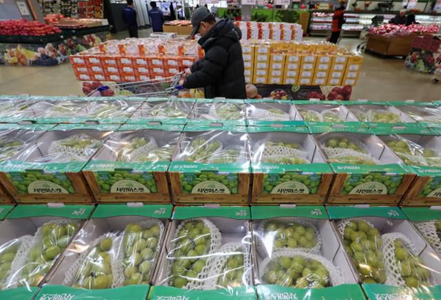 지난 1월 서울 서초구 하나로마트 양재점에서 샤인머스켓 등이 판매되고 있다. 뉴시스