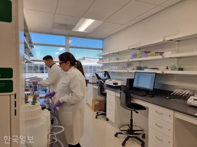 11일 미국 메릴랜드주 록빌 소재 코오롱티슈진 본사에서 연구원들이 골관절염 치료제 TG-C 연구에 참여하고 있다. 록빌=권경성 특파원