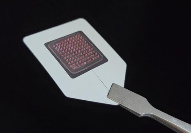 대웅제약이 개발하고 있는 마이크로 니들 패치. 대웅제약 제공