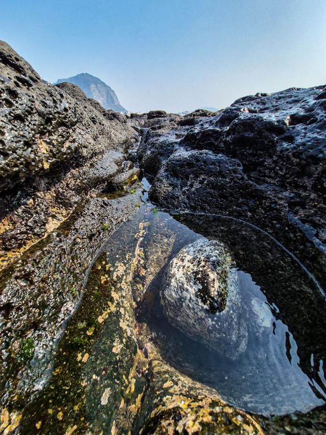 사계해변의 용암대지에 투명한 바닷물이 고여 있다.