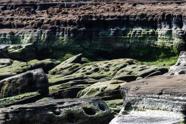 제주 서귀포시 사계리해안 체육공원 앞 해변에 돌개구멍, 이끼, 퇴적층, 용암이 어우러져 아름다운 풍경을 자아내고 있다.