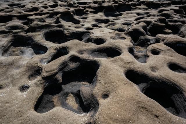 사계해변의 울퉁불퉁한 사구는 외계 행성의 분화구를 연상시킨다.