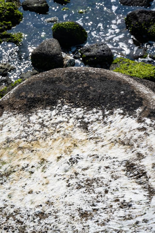 사계리해안 체육공원 앞 해변과 사계해변 동쪽 사구는 비슷한 듯 다르다.