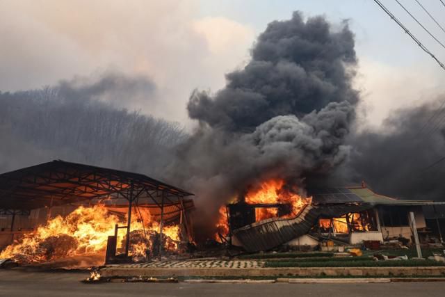 경북 의성군 산불 발생 나흘째인 25일 의성군 단촌면 하화1리에 산불 불씨로 인한 화재가 발생해 있다. 연합뉴스