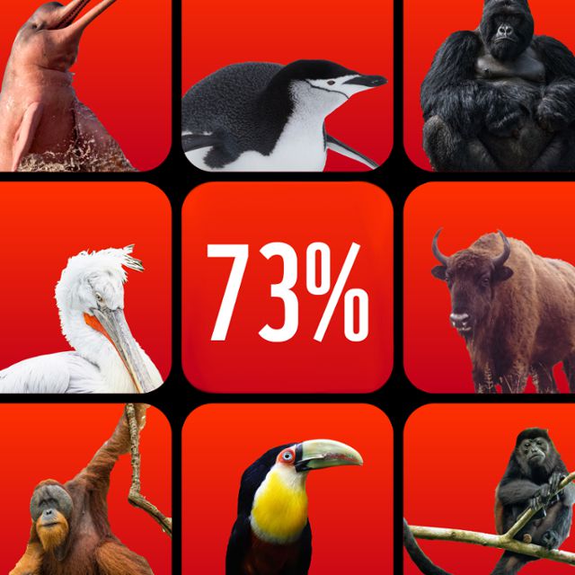 세계자연기금(WWF) 지구생명지수 이미지. WWF 제공