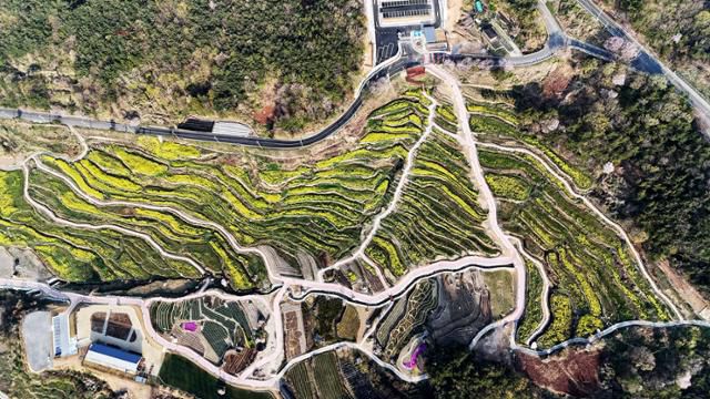 11일 경남 남해군 상주면 두모마을 다랭이 논에 유채꽃이 흐드러지게 피어 장관을 이루고 있다. 남해군은 이곳에 파라다랑스라는 꽃별테마공원을 조성했다. ‘파라다랑스’는 ‘파라다이스(paradise)’와 한국의 전통적인 농업을 상징하는 ‘다랑논’의 합성어로, 자연과 문화의 조화로운 만남을 표현한 이름이다. 뉴시스