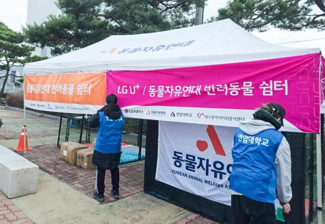 LG유플러스와 동물자유연대는 3월 말 발생한 영남 지역의 대형 산불 당시 경북 의성군 의성체육관 근처에 국내 최초 반려동물 특화 구호소를 설치해 운영했다. LG유플러스 제공