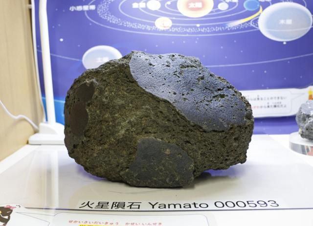 2025 오사카·간사이엑스포 일본관에서 처음 일반에 공개된 '화성의 돌'이 지난달 26일 오사카로 보내기 전 도쿄 국립극지연구소에 전시돼 있다. 도쿄=교도 연합뉴스