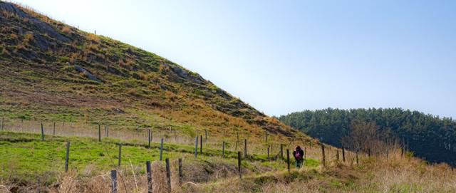 한 시민이 충남 서산시 용현저수지 북쪽에 인접한 언덕 둘레길을 걷고 있다.한 시민이 충남 서산시 용현저수지 북쪽에 인접한 언덕 둘레길을 걷고 있다.