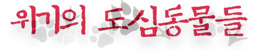 한국일보