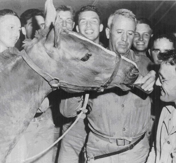 한국전쟁에서 활약한 군마 레클리스. 미국 국방부 국방영상정보배포서비스(DVIDS) 캡처