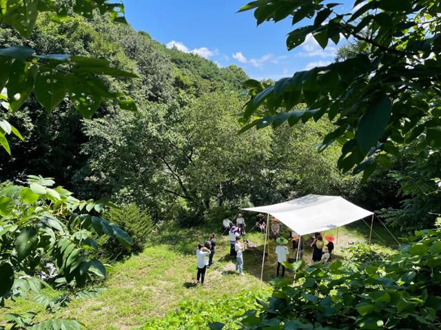 경북 예천군 효자면 생텀마을에 참가한 청년들이 용두리 호두마을 숲에서 휴식을 취하고 있다. 생텀마을 제공