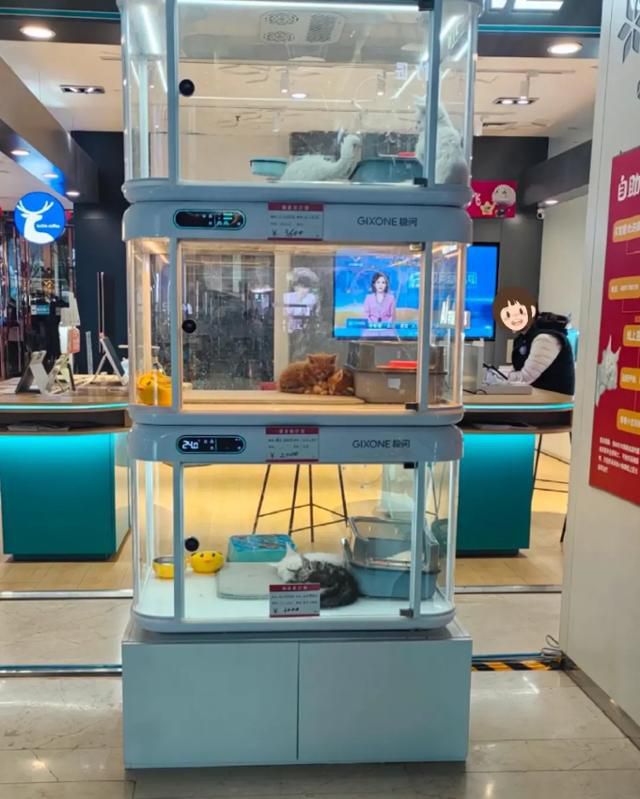 한국일보