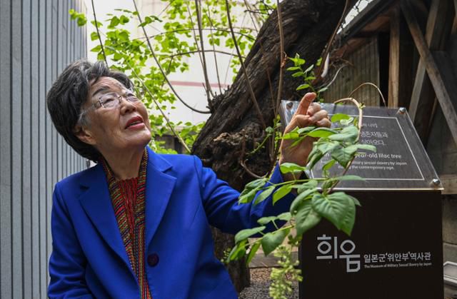8일 대구 중구 희움 일본군 '위안부' 역사관에서 이용수(97) 할머니가 봄꽃이 핀 나무를 바라보고 있다. 그는 꽃이 다시 핀 것을 기뻐하면서도 또 한 해가 간 것을 안타까워했다. 대구=강예진 기자