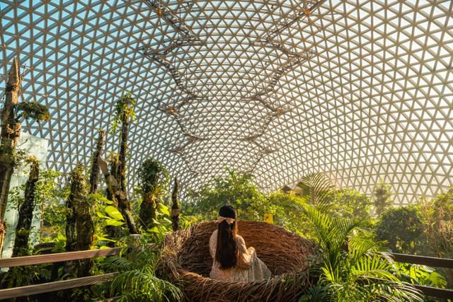 거제식물원. 경남도 제공