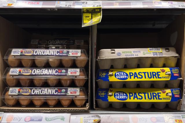 지난 2월 12일 미국 캘리포니아주 로스앤젤레스의 한 시장에 계란이 진열돼 있다. 로스앤젤레스=EPA 연합뉴스