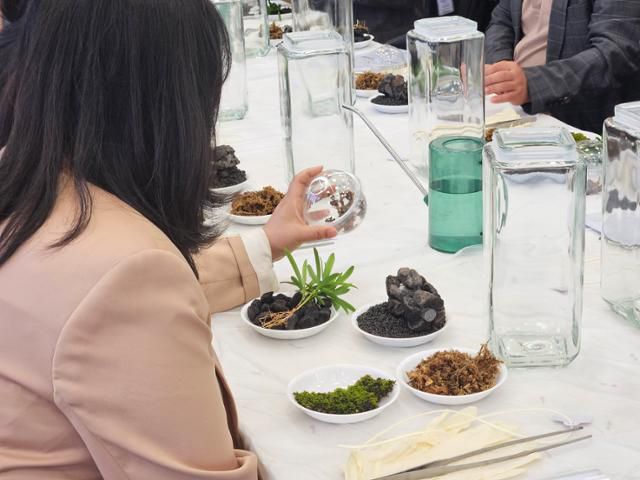 전북 익산 치유농장 '우리들의 정원'에서 29일 한 참여자가 '비바리움 만들기' 프로그램 관련 화산석, 이끼, 도둑게, 나한송 등을 살펴보고 있다. 익산=이유지 기자