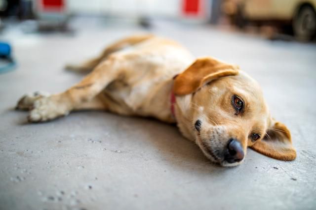게티이미지뱅크 *이해를 돕기 위한 자료 사진입니다.