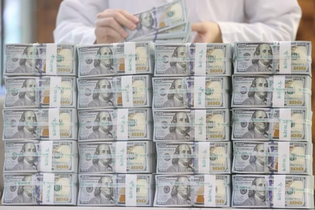 서울 중구 하나은행 위변조 대응센터에서 직원이 미국 달러를 정리하는 모습. 연합뉴스