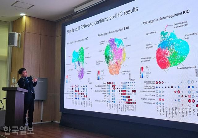 최영기 기초과학연구원(IBS) 한국바이러스기초연구소장이 14일 서울 종로구 센터포인트 광화문에서 연구 성과 설명회를 열고 박쥐 유래 신변종 바이러스에 대한 새로운 분석 플랫폼을 소개하고 있다. 김태연 기자