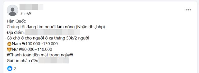 13일 한국에서 공부하는 베트남 유학생들이 가입한 페이스북 그룹에 농장에서 일할 사람을 구한다는 게시글이 올라와 있다. '유학생, 불법 체류자도 가능하다'고 적혀 있다. 페이스북 캡처