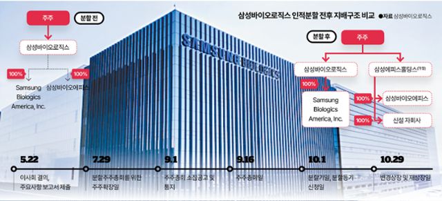 그래픽=김대훈 기자
