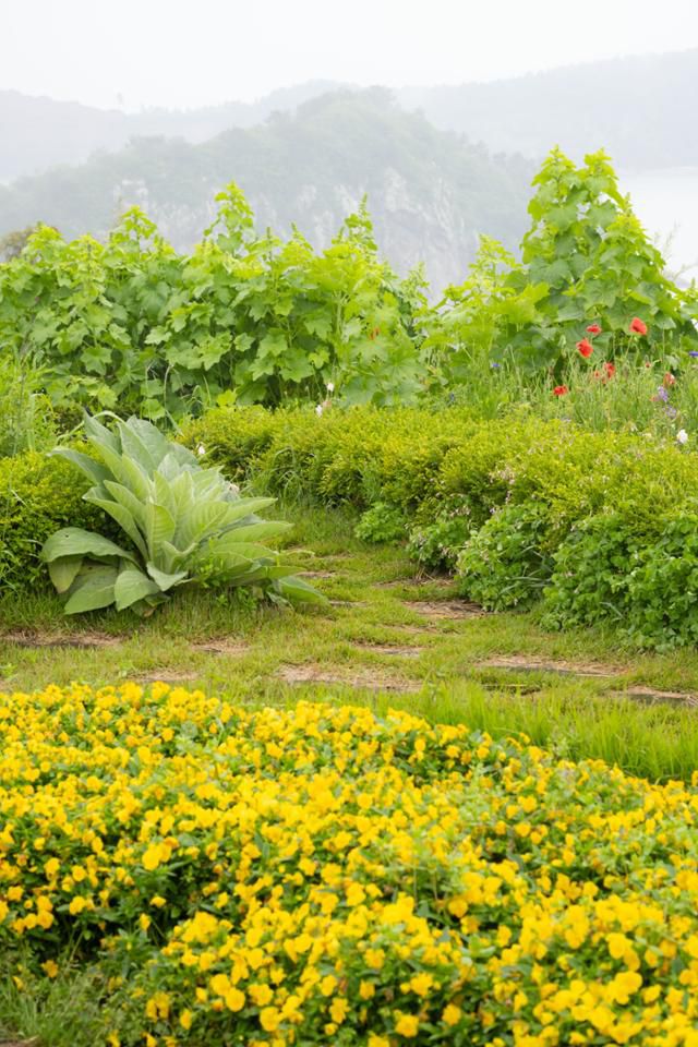 쑥섬의 공중정원 뒤로 쑥섬과 방파제로 연결된 무인도가 보인다.