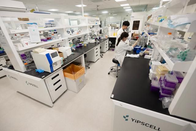 서울 서초구 가톨릭대 의대 서울성모병원 옴니버스파크에 있는 바이오기업 입셀 연구실에서 직원들이 실험을 하고 있다. 박시몬 기자