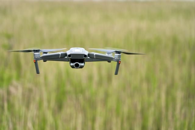 게티이미지뱅크