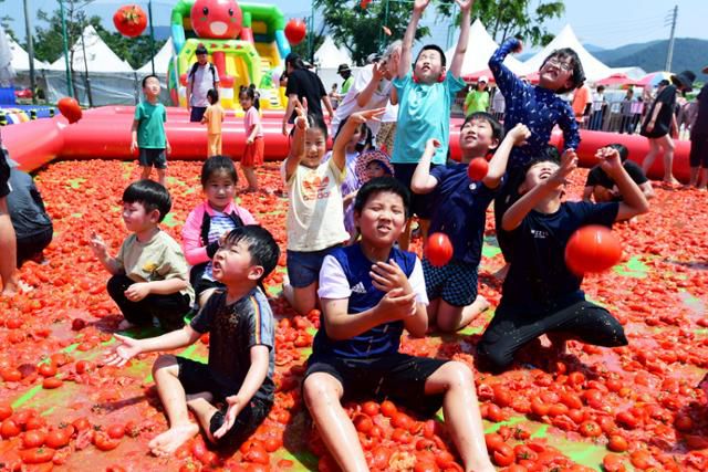 2023년 6월 경기도 광주시 퇴촌면 공설운동장에서 열린 '제21회 퇴촌 토마토 축제'를 찾은 어린이들이 토마토 풀장에서 즐거운 시간을 보내고 있다. 한국일보 자료사진