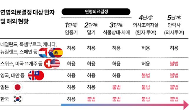 연명의료결정 대상 환자 및 해외 현황. 그래픽=이지원 기자